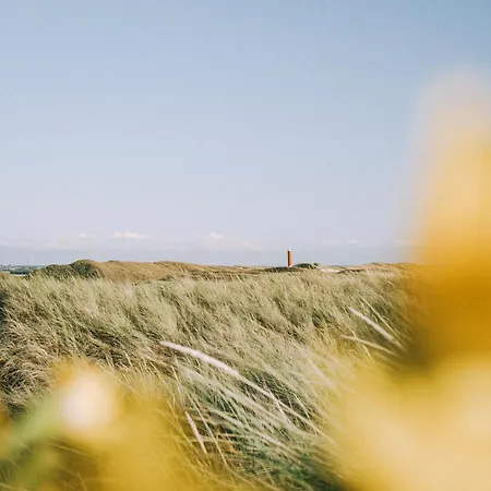 Jamaphista - Aan Zee *