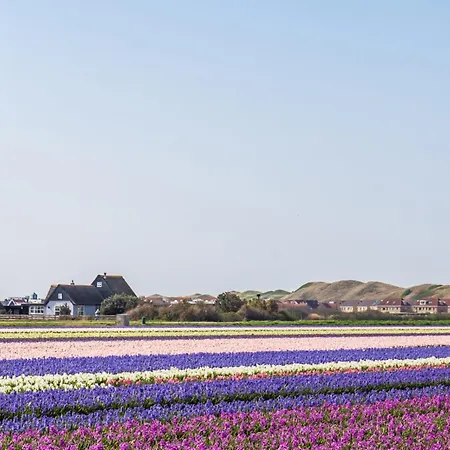 Casa vacanze Jamaphista - Aan Zee Callantsoog